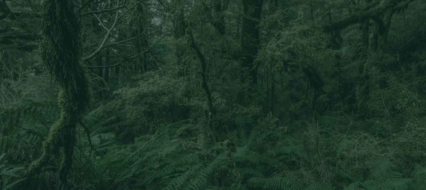 slide-04